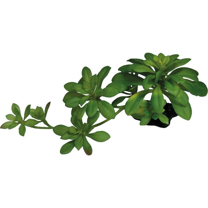 Repto REPTO PLANT SUCCULENT GREEN XL - Repto