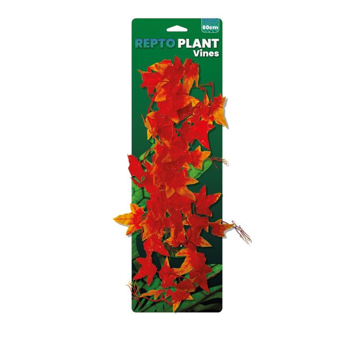 Repto VINES ORANGE HEDERA 60CM - Repto