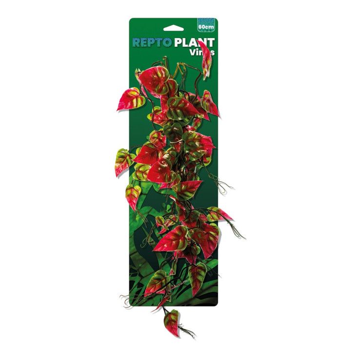 Repto VINES PINK/GREEN SYNGONIUM 60CM - Repto