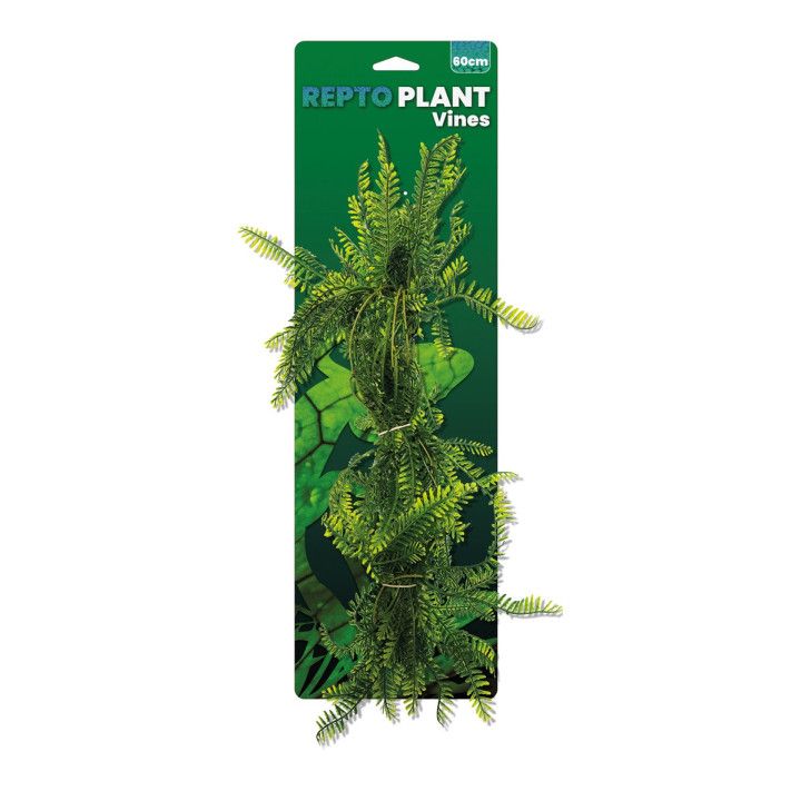Repto VINES GREEN ASPARAGUS 60CM - Repto