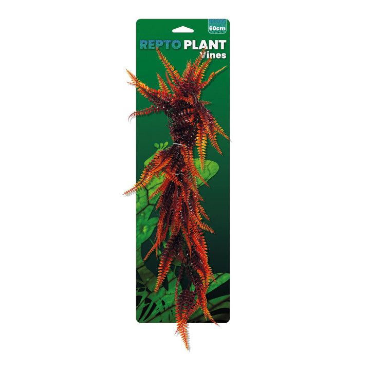 Repto VINES ORANGE FERN 60CM - Repto