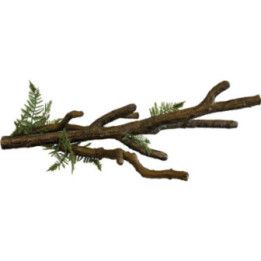 Repto REPTO DECO BRANCH XL - Repto