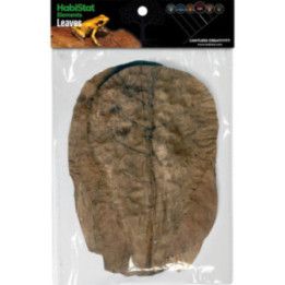 Habistat HABISTAT CATAPPA LEAVE 10 X - Habistat