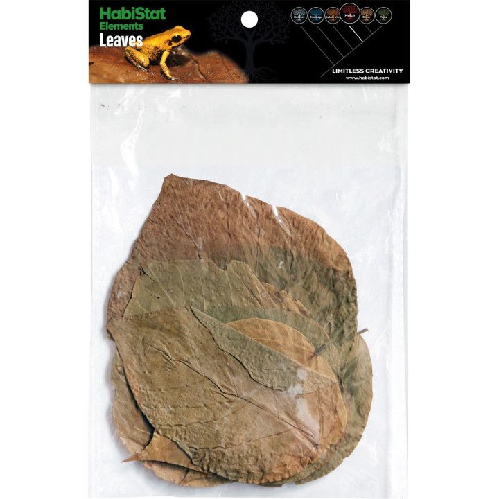 Habistat HABISTAT DADAP 10 LEAVE X - Habistat