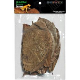 Habistat HABISTAT MIXED LEAVES 30 X - Habistat