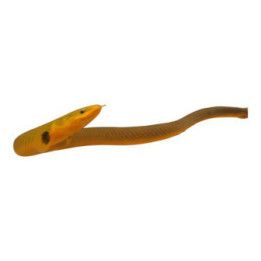 Käärmekala 15-30 cm Erpetoichthys calabaricus