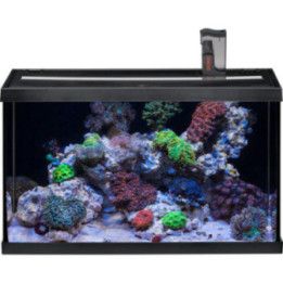 EHEIM aquastar 63l LED musta marin 60x30x 35cm -
