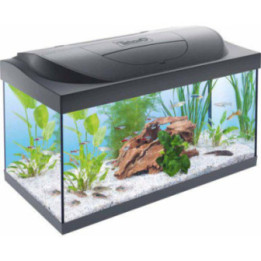 TETRA starter line LED musta 54l -