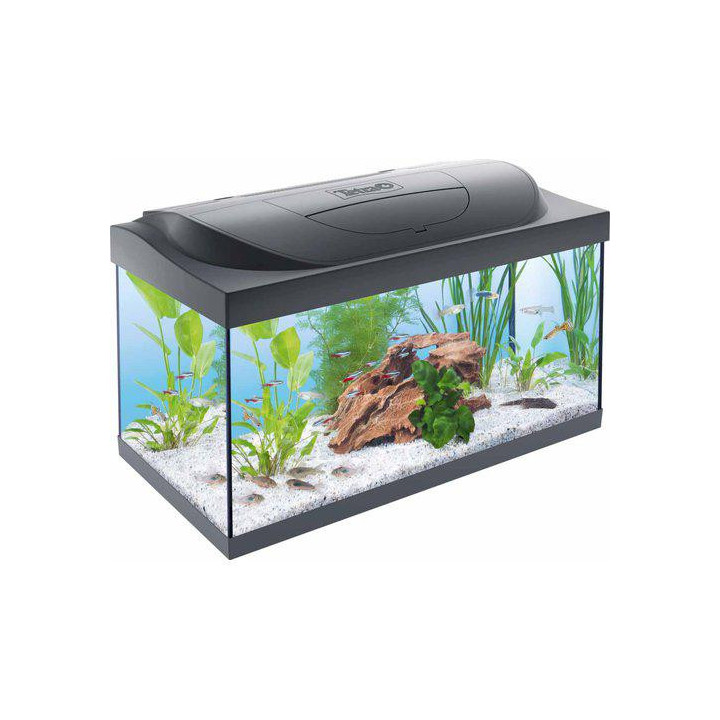 TETRA starter line LED musta 54l -