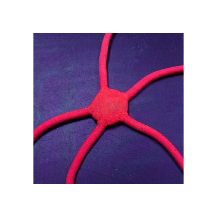 Ophioderma rubicundum - Scarlet Serpent Starfish