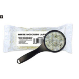 Elävä sääskentoukat valkoinen 90ml/25 st -