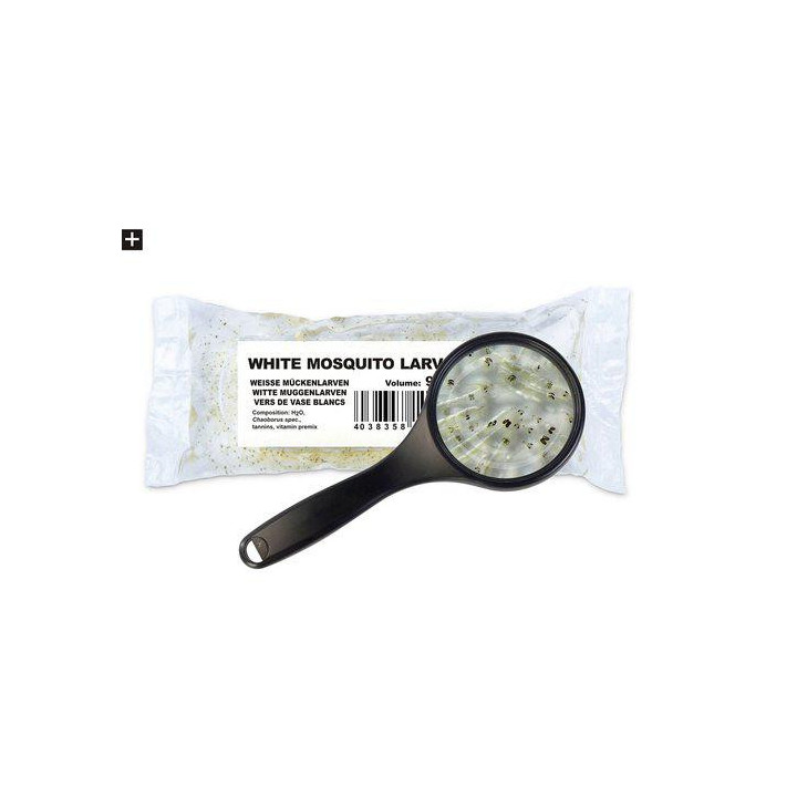 Elävä sääskentoukat valkoinen 90ml/25 st -