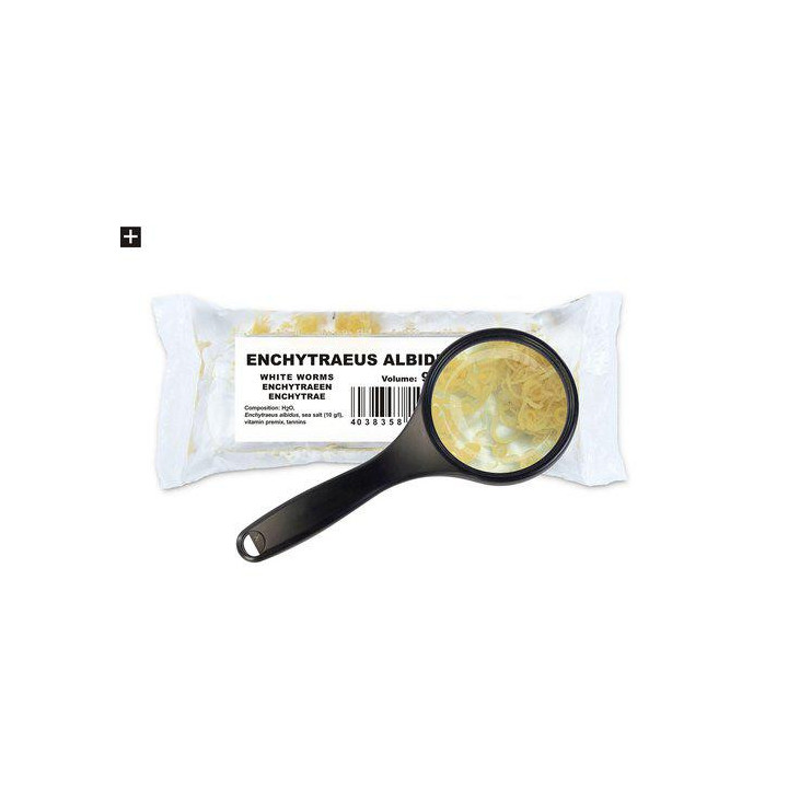Elävä valkomadot 90ml/25 st -