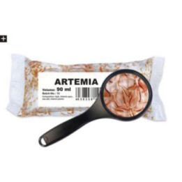 Elävä artemia aikuinen 90ml/25 st -