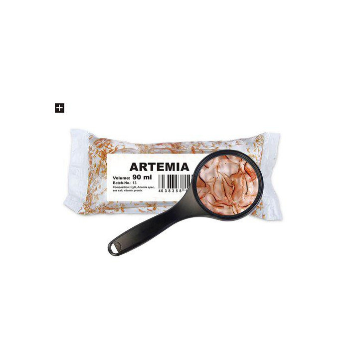 Elävä artemia aikuinen 90ml/25 st -