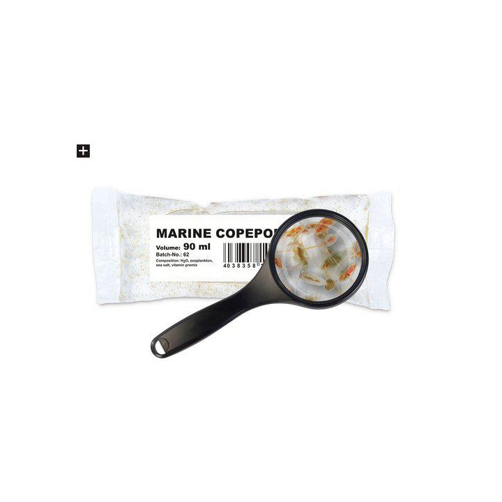 Elävä pieni merihankajalkainen 90ml/25 st -
