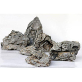 Mini landscape 5 st 4.5-5.5kg -
