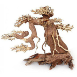 OZAMI bonsai wood s 15x10x 8cm - Ozami Akvaristik