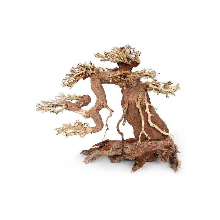OZAMI bonsai wood m 23x17x 10cm - Ozami Akvaristik