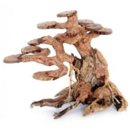 OZAMI bonsai wood 23x17x 10cm - Ozami Akvaristik