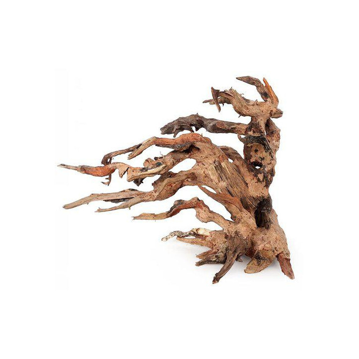 OZAMI bonsai wood25x20x 14cm - Ozami Akvaristik