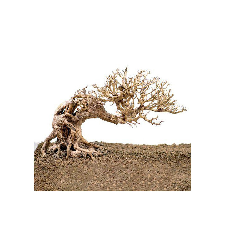 OZAMI bonsai wood 23x17x 10cm - Ozami Akvaristik