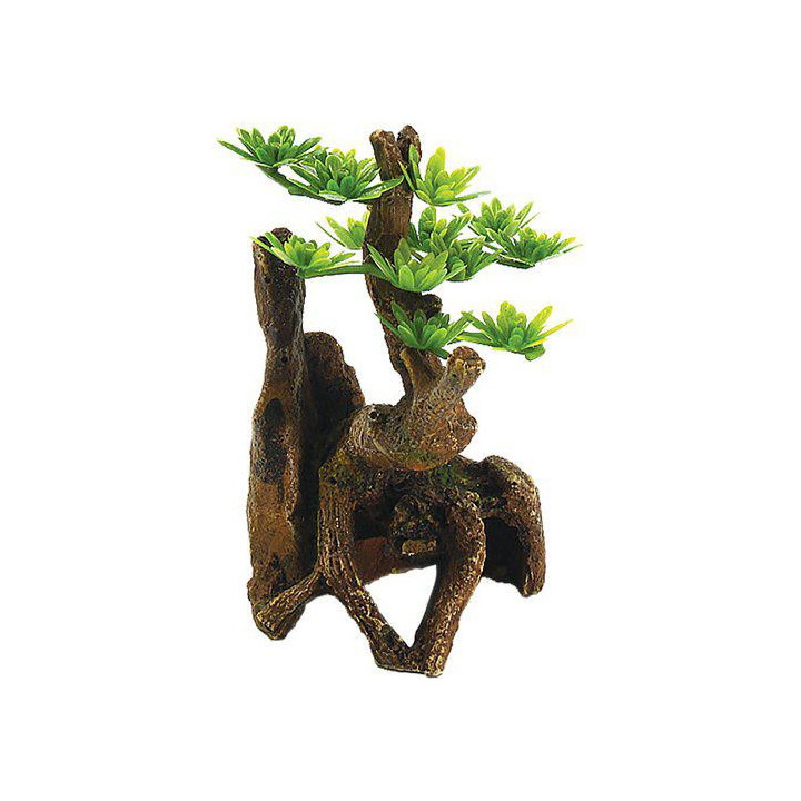 OZAMI tree 7x6.5x 11.2cm - Ozami Akvaristik