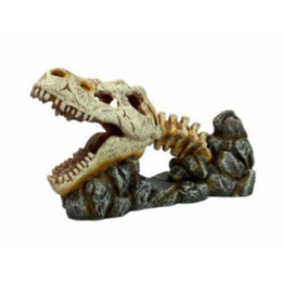 OZAMI dragon skull 19.8x8x 11cm - Ozami Akvaristik