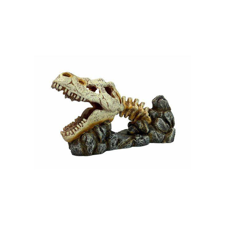 OZAMI dragon skull 19.8x8x 11cm - Ozami Akvaristik