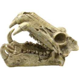 OZAMI monster skull 20x11x 13cm - Ozami Akvaristik