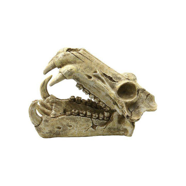 OZAMI monster skull 20x11x 13cm - Ozami Akvaristik