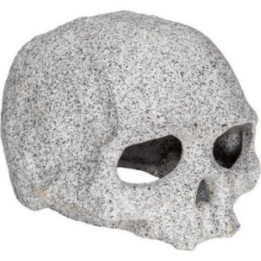 OZAMI cranium 12x10x 8cm - Ozami Akvaristik