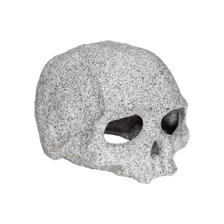 OZAMI cranium 12x10x 8cm - Ozami Akvaristik