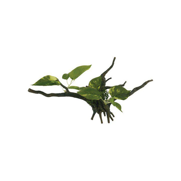 OZAMI driftwood with plant 34x15x 15cm - Ozami Akvaristik