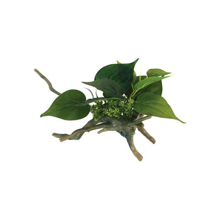 OZAMI driftwood with plant 16,5x16,5x 24,5cm - Ozami Akvaristik