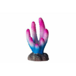 OZAMI coral pink, WHITE and blue 3x2.9x 5.5cm - Ozami Akvaristik