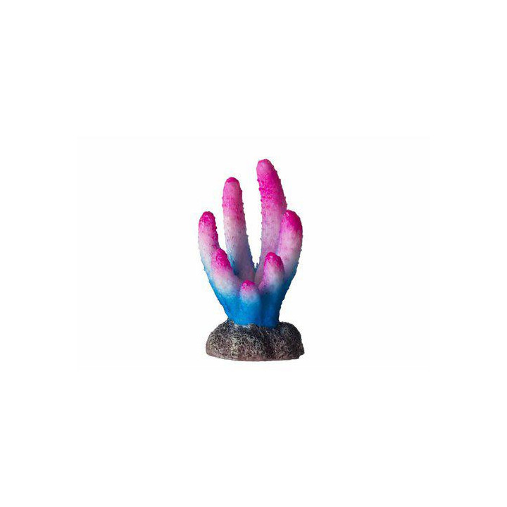 OZAMI coral pink, WHITE and blue 3x2.9x 5.5cm - Ozami Akvaristik