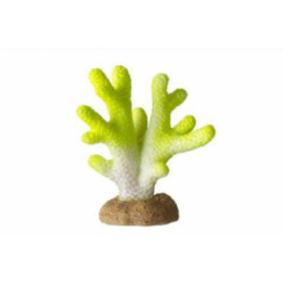 OZAMI coral lime 4.5x2.5x 5.1cm - Ozami Akvaristik