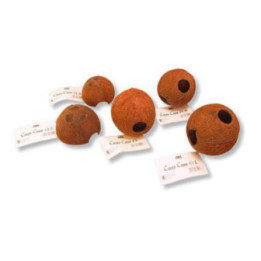 JBL cocos cava 1/1 m -