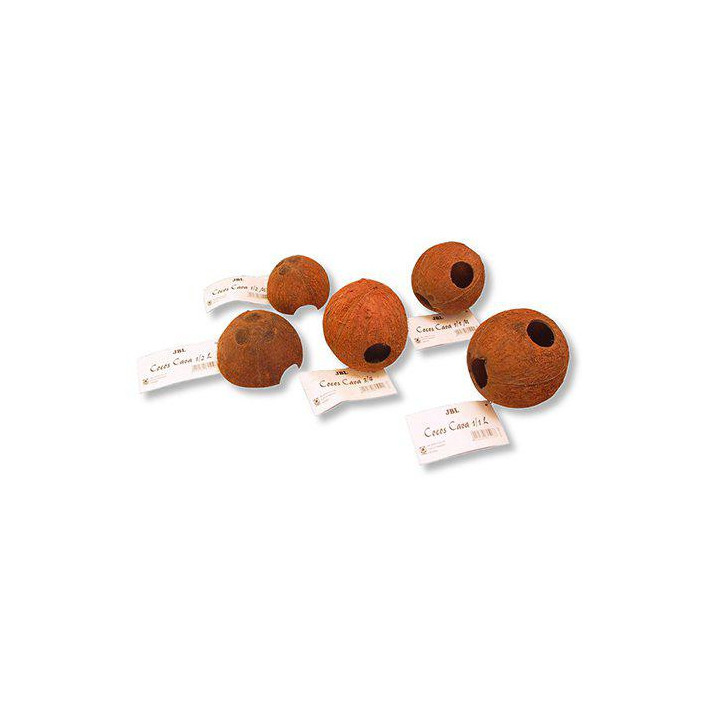 JBL cocos cava 1/1 m -