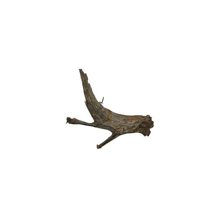 Mangroverot m/l 30-40cm keltainen merkintä -