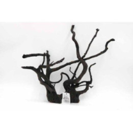 Black moor wood 40-45 cm -