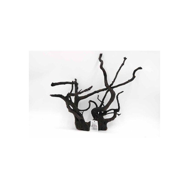 Black moor wood 40-45 cm -