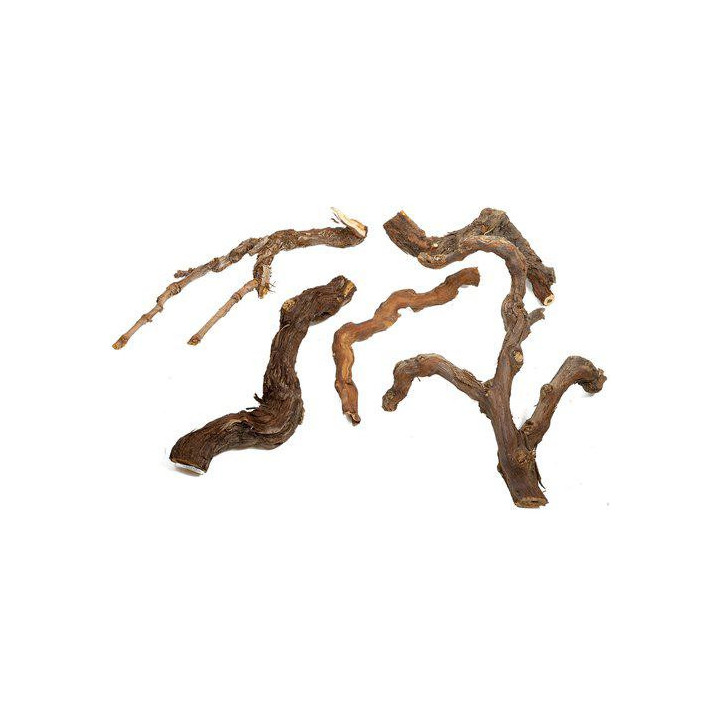 Winewood s 20-40cm -