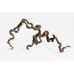 Winewood m 40-70cm -