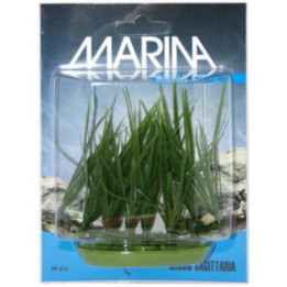 Muovikasvi micro sagittaria - Marina
