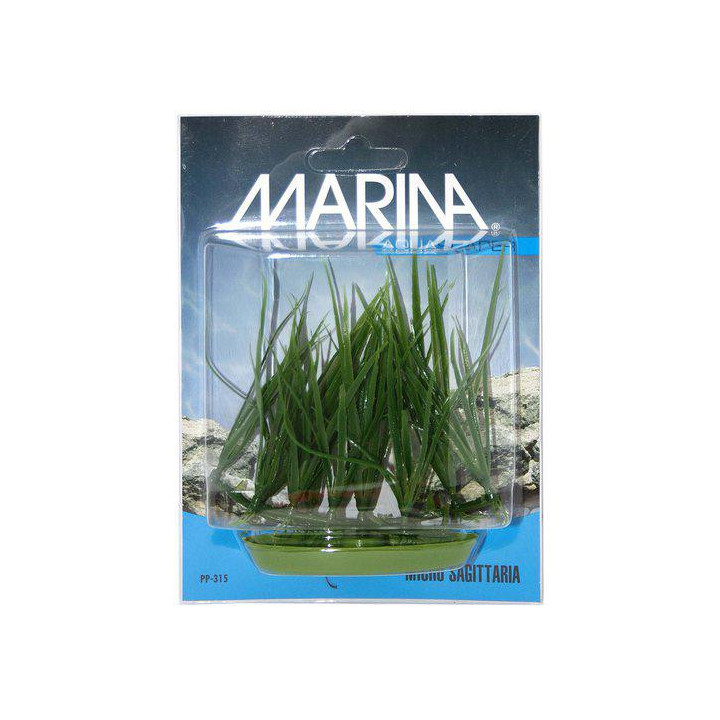 Muovikasvi micro sagittaria - Marina