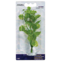Muovikasvi cardaminemini 10cm imukuppi - Marina
