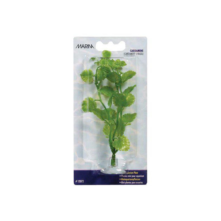 Muovikasvi cardaminemini 10cm imukuppi - Marina