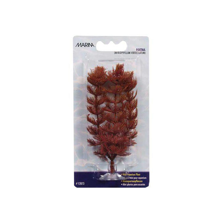 Muovikasvi foxtail mini 10cm imukuppi - Marina